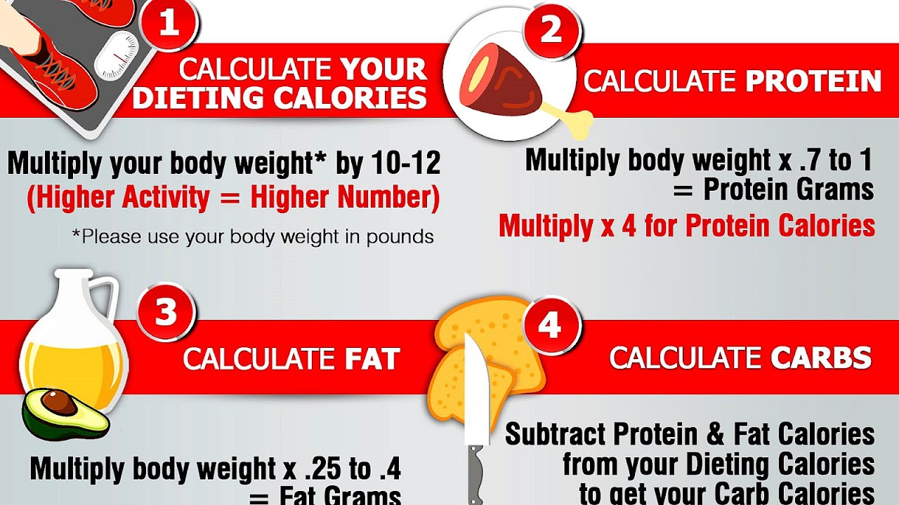 How Much Protein Should I Take Calculator Protein Choices