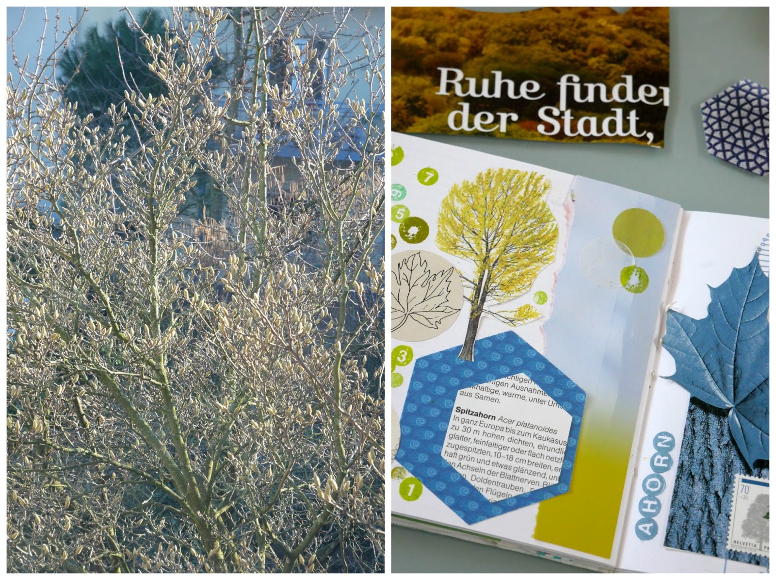 Le Monde De Kitchi Februar 2018