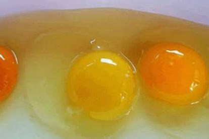 Warna Telur Ini Mengatakan Kandungan Nutrisi Yang Berbeda. Jangan
Hingga Kau Salah Makan!