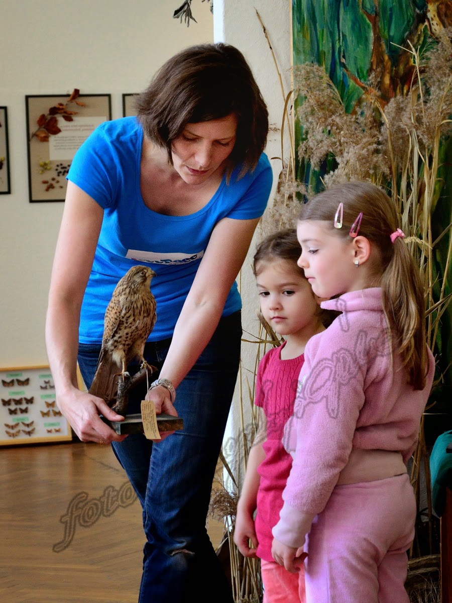 Természet és Múzeuma 2014 a Janus Pannonius Múzeum Természettudományi