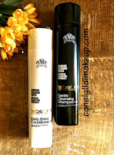 Review Gentle Cleansing Shampoo e Daily Shine Conditioner Label m