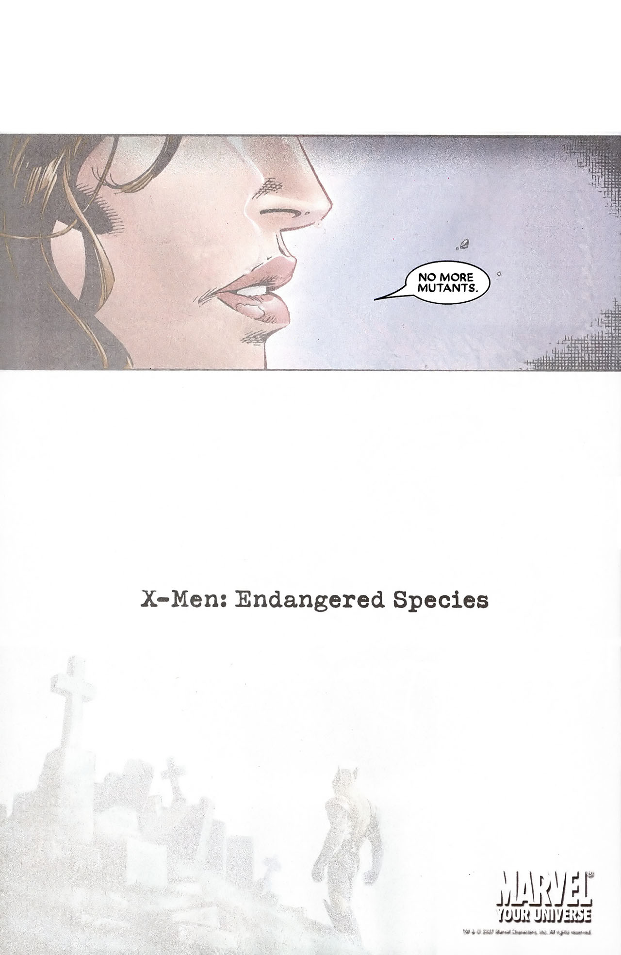 Read online Free Comic Book Day 2007 (Spider-Man) comic -  Issue # Full - 33