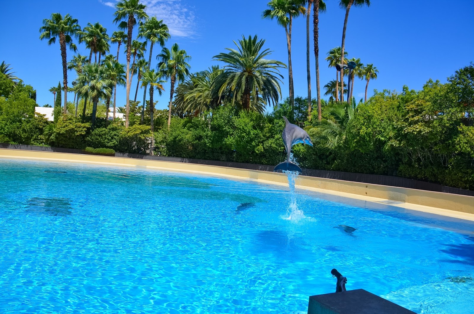 The Secret Garden Dolphin Habitat At The Mirage Las Vegas