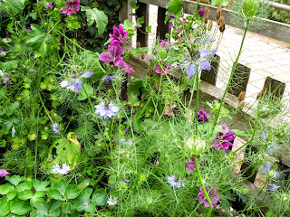 Jungfern im Grünen (C) by Joachim Wenk Jungfern im Grünen (C) by Joachim Wenk