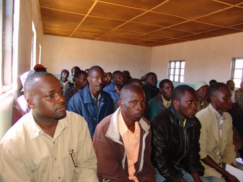 Mbeya Yetu KAMPUNI YA HIGHLAND SEED GROWERS LTD YALETA NEEMA KWA