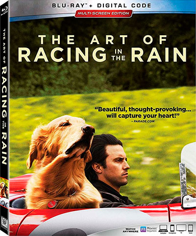 The-Art-of-Racing-in-the-Rain-POSTER.jpg