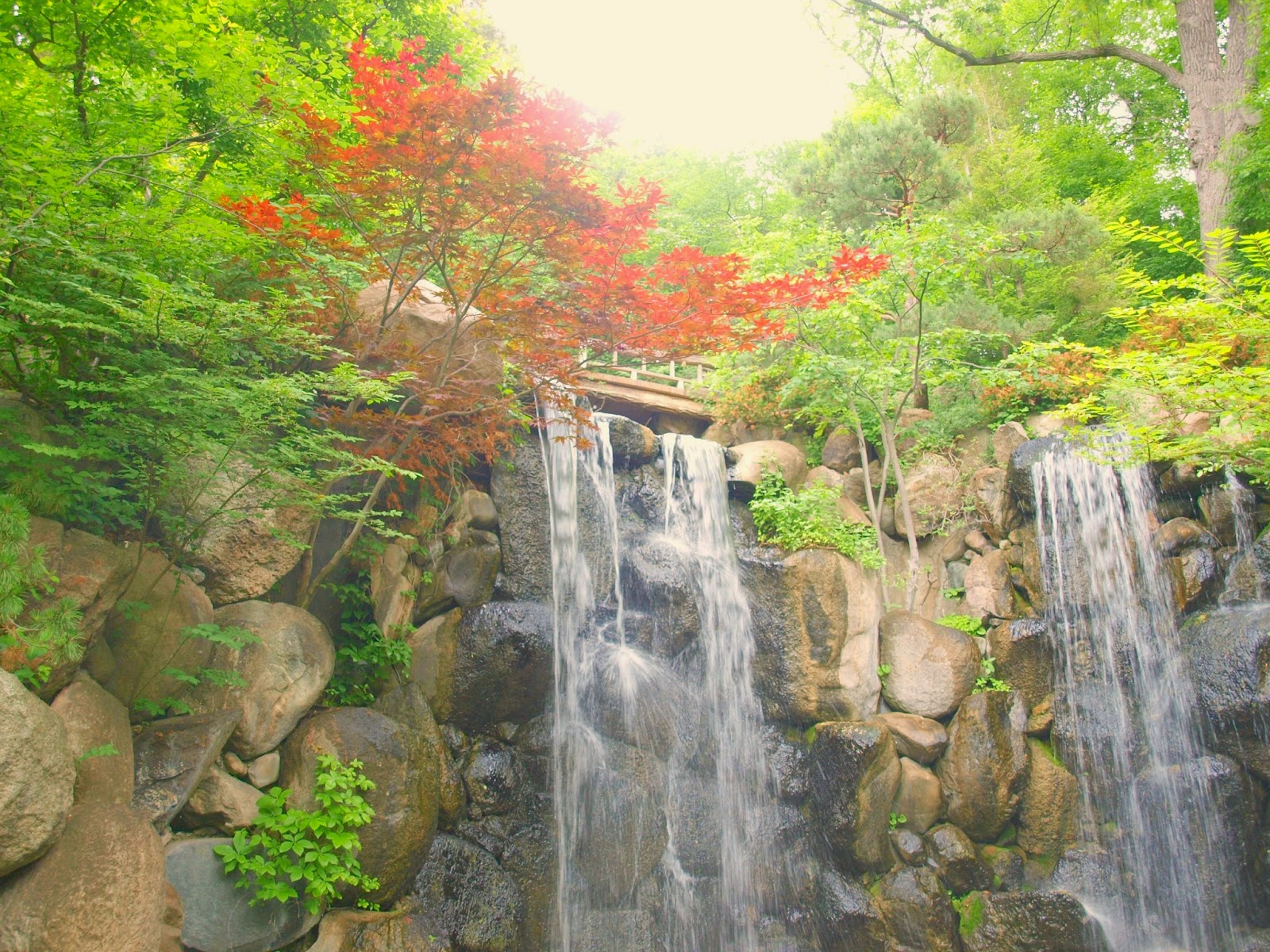 Japanese Garden Inspiration: Anderson Gardens