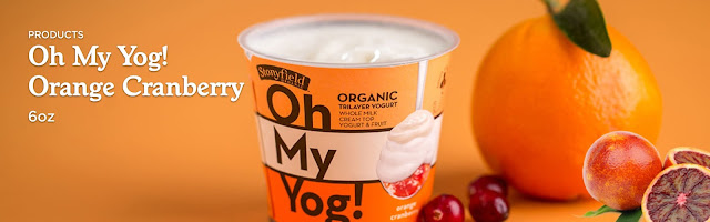 Stonyfield Oh My Yog Yogurt Orange Cranberry