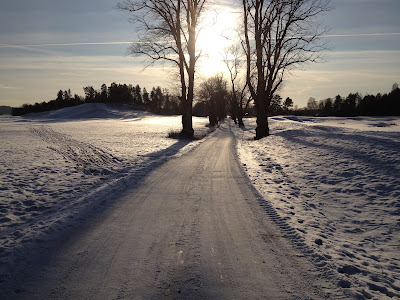 promenad+soligt+%286%29 - Powerwalk i solsken