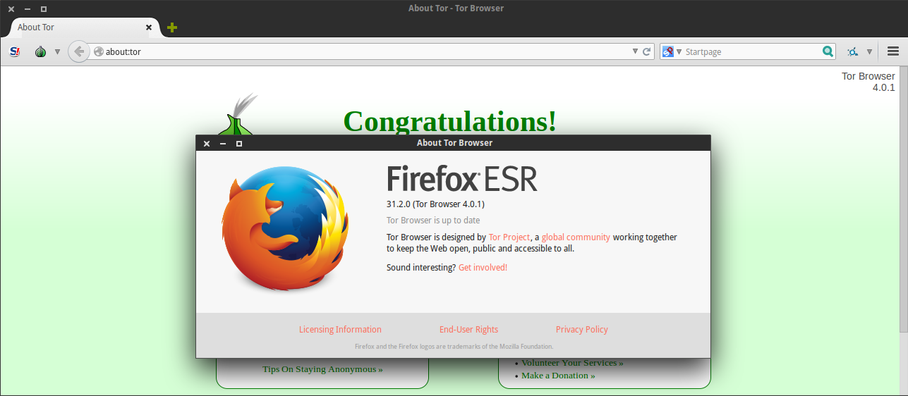 open tor browser ubuntu open tor browser ubuntu