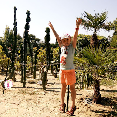 Высокие кактусы в Болгарии