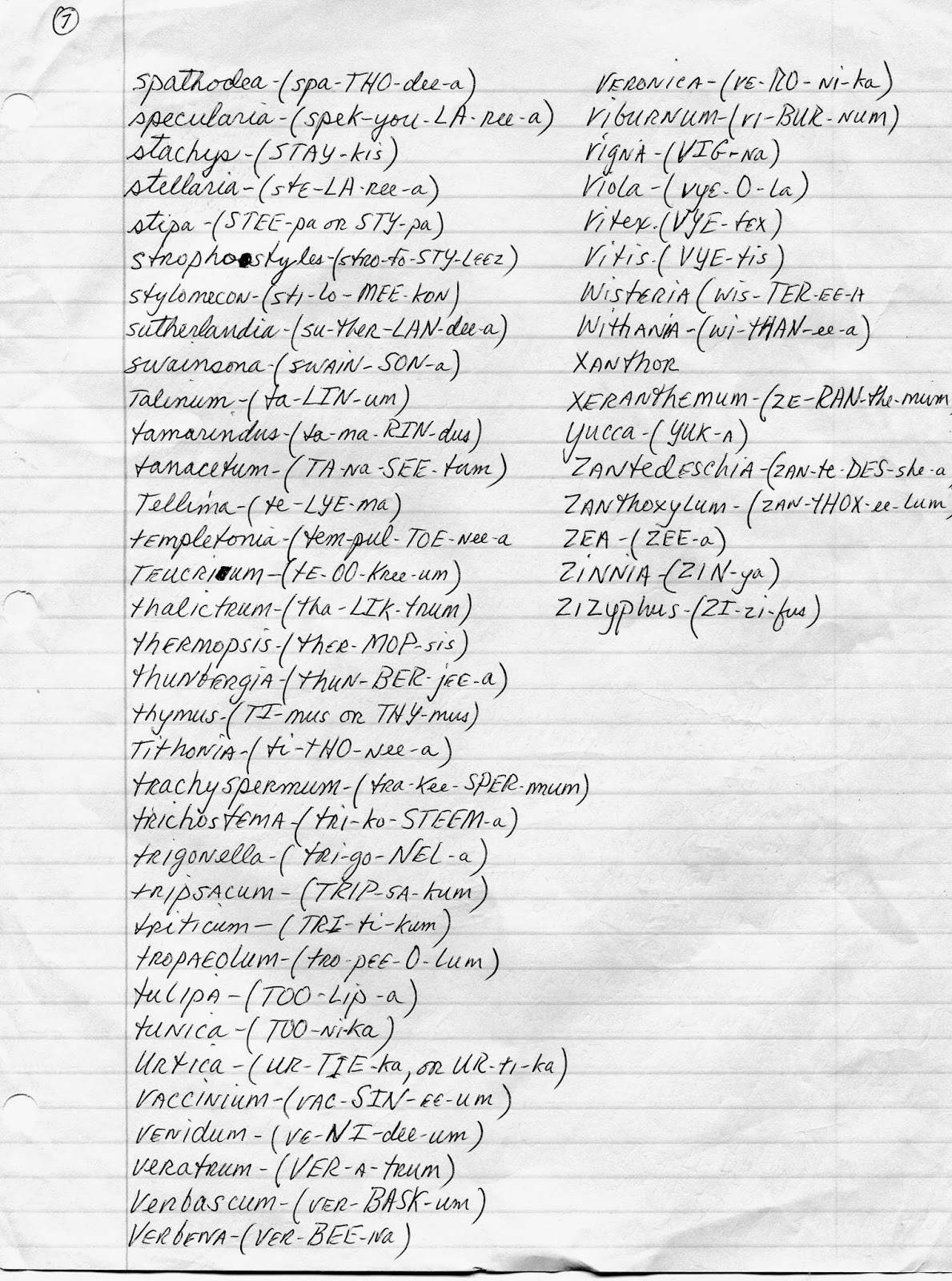 Hints for Living: Plants and their Pronunciation for the home Gardener
