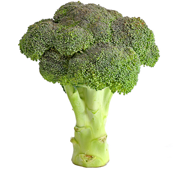 broccoli, how to grow broccoli, growing broccoli, guide for growing broccoli, how to start growing broccoli, growing broccoli in home garden, growing broccoli organically, growing broccoli organically in home garden