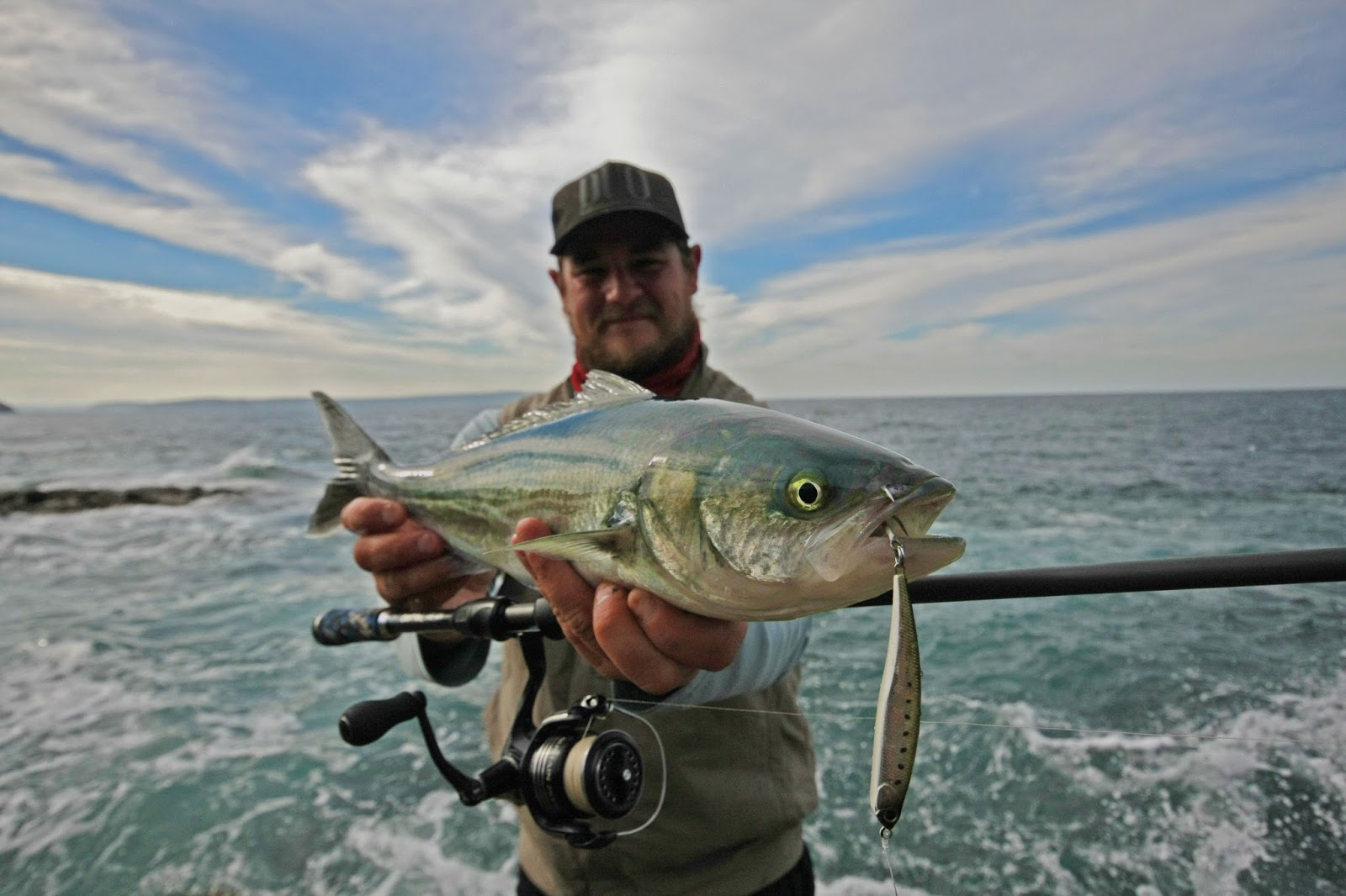 The Fish Cure THAT TIME OF THE YEAR..... SALMON