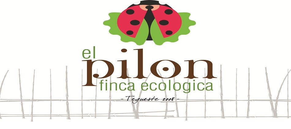 Finca Ecológica el Pilón