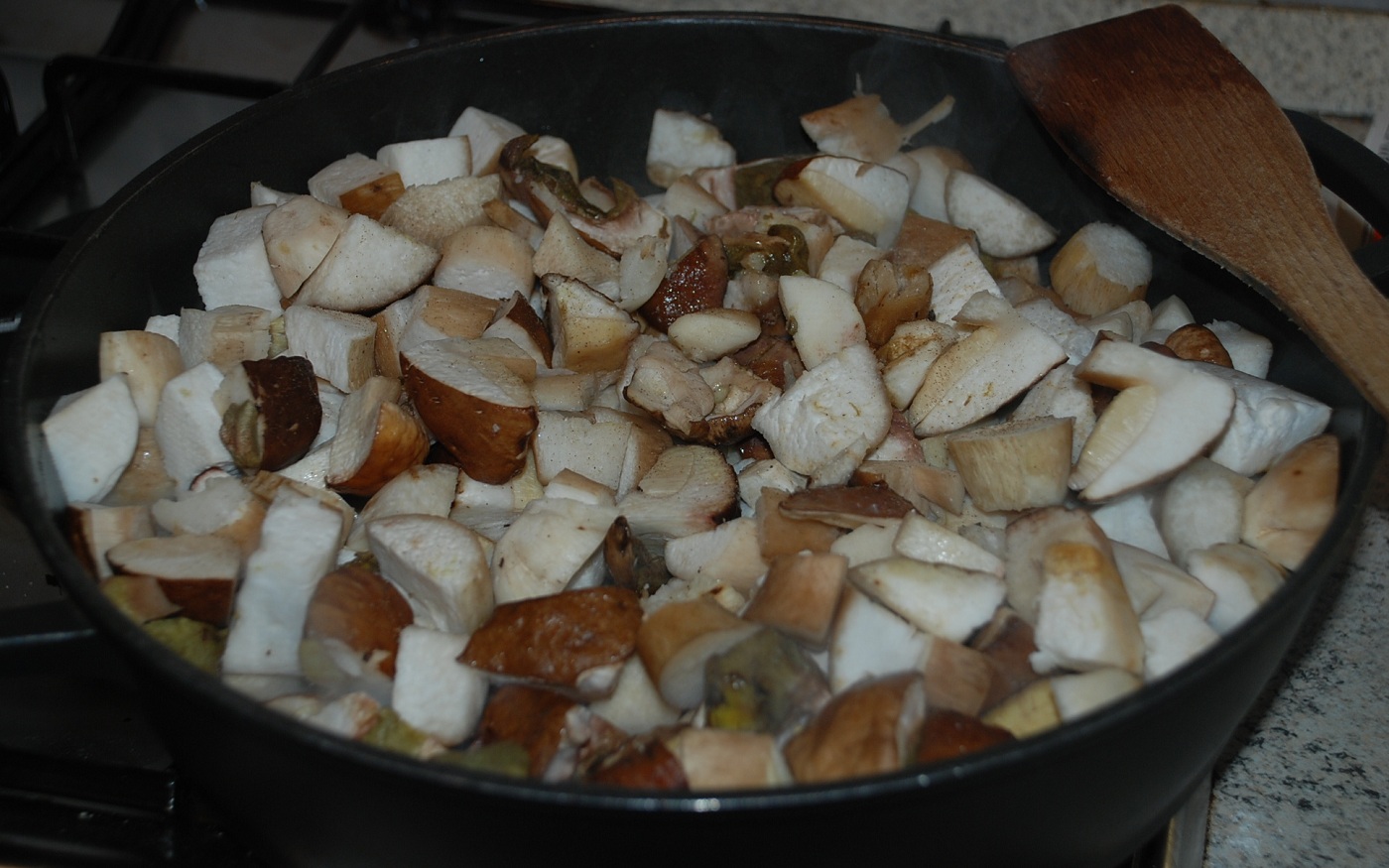 Pentole e Fornelli Sugo di funghi porcini Pentole e Fornelli Sugo di funghi porcini