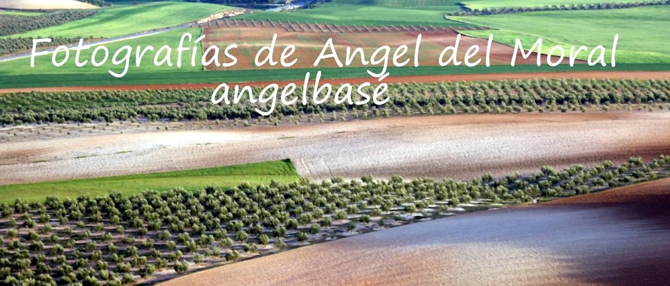 FOTOGRAFÍAS DE ANGEL DEL MORAL "angelbasé" HUELMA (Jaén)