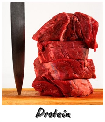 Kelas Makanan dan Khasiatnya