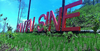 pantai Sine tulungagung pantai Sine tulungagung