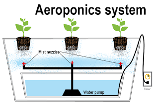 aeroponik-www.healthnote25.com