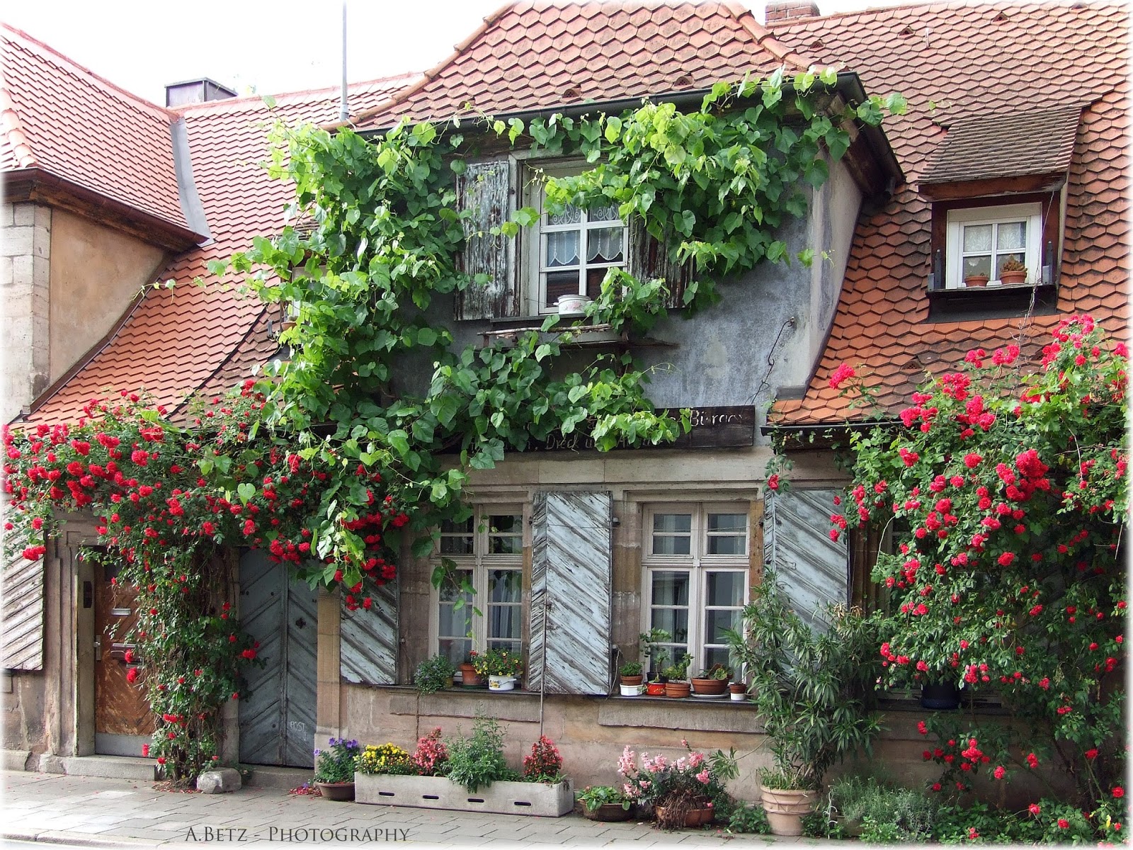 Augenblicke Fotografie: Das grüne Haus