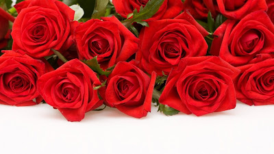خلفيات ورود طبيعيه