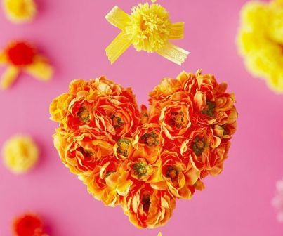 Ranunculus fiori renoncules peonies Latest Valentine Flowers Wallpapers for Desktop - Wonderful Art