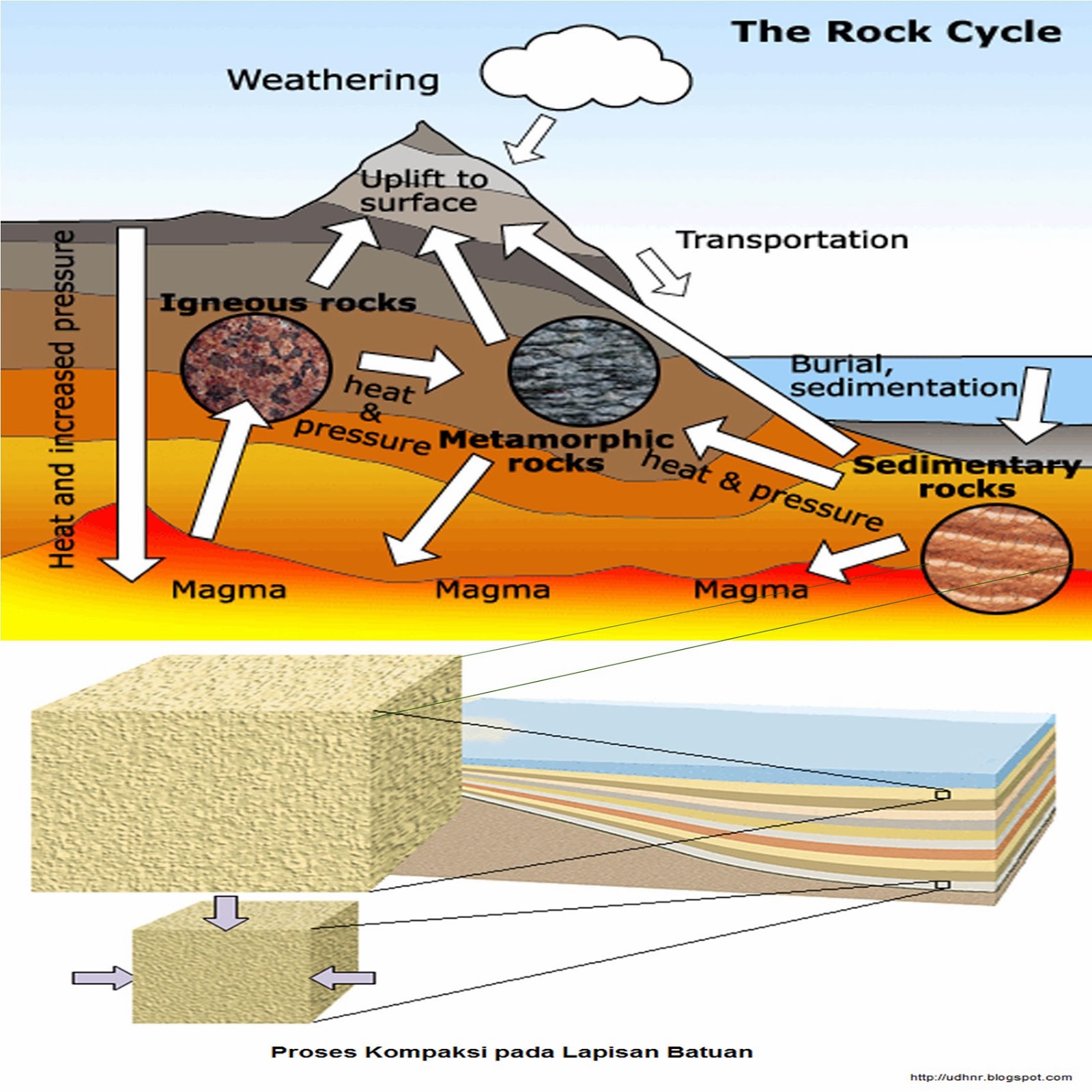 Batuan Sedimen Mengenal Proses Pembentukan Tekstur Dan Jenisnya - Riset