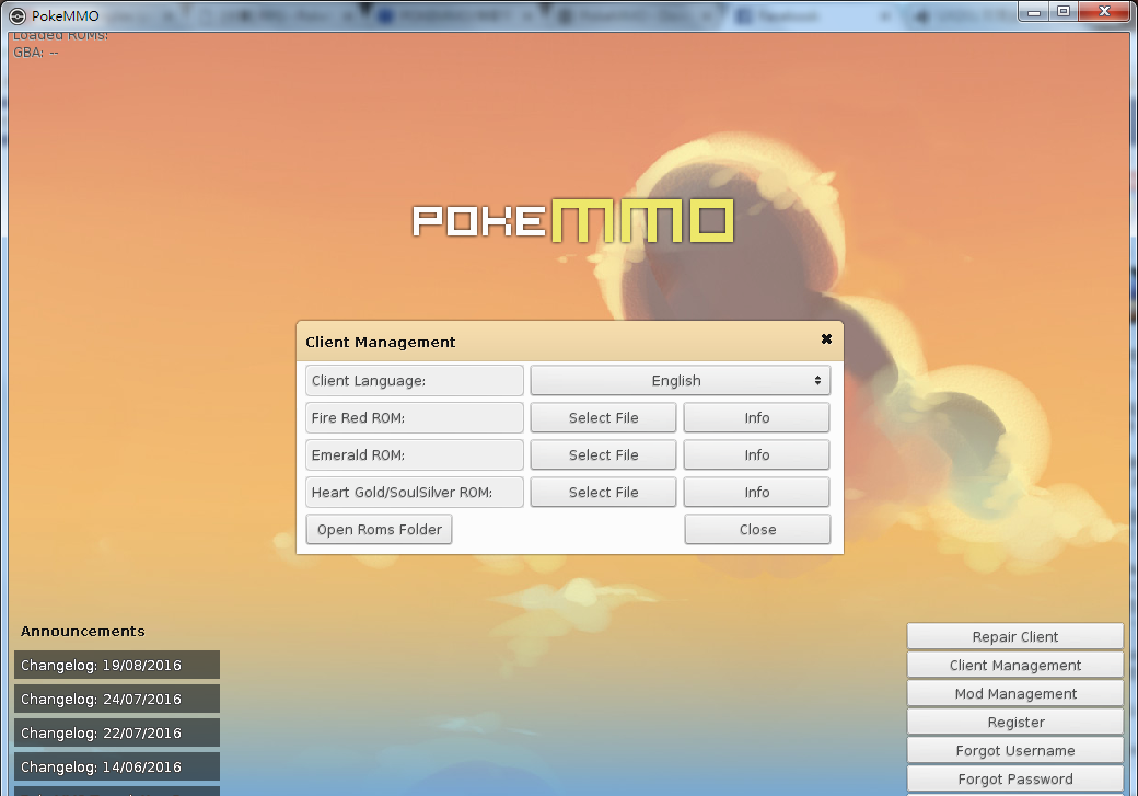 Image%2B006 - PokeMMO - 神奇寶貝線上版！兒時的GBA回憶，現在也能大家一起玩了！