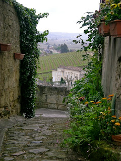 alleyways and vineyards saint emilion