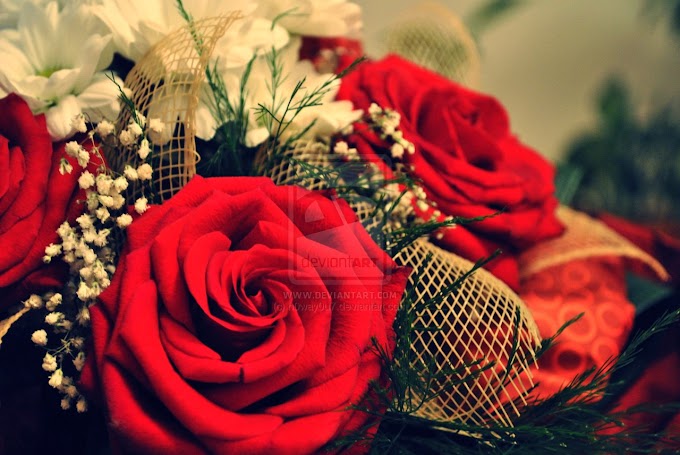 happy rose day for gf