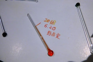 シマウマは何色ですか - すべてのシマウマは同じ数の縞模様を持っていますか?