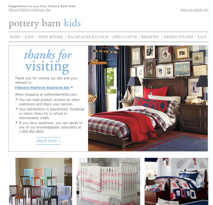 Pottery Barn Kids Email Program Lacks Common Sense Customerthink