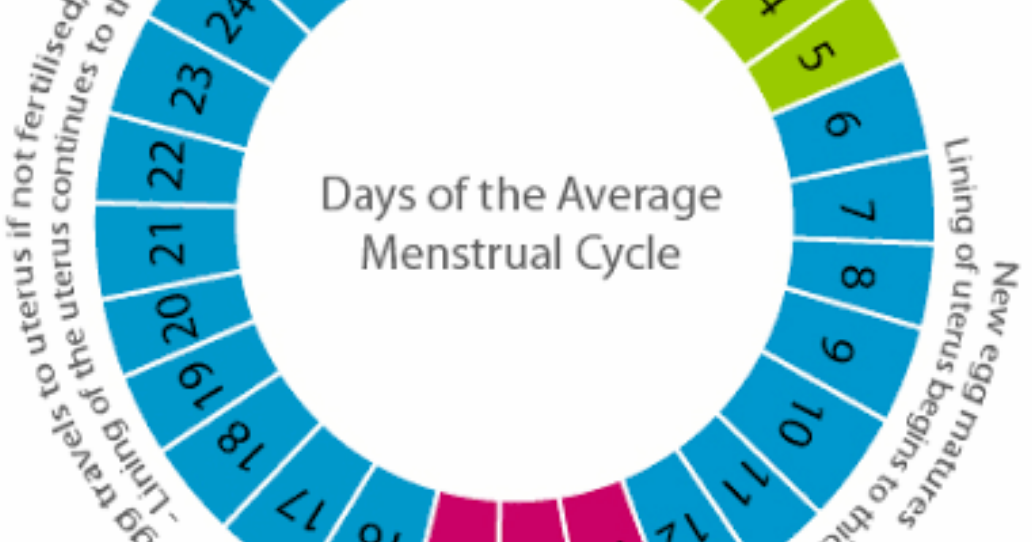 Ежедневно это какие дни. Менструальный цикл. Безопасные дни цикла. Безопасные дни менструационного цикла. Безопасные дни после месячных.