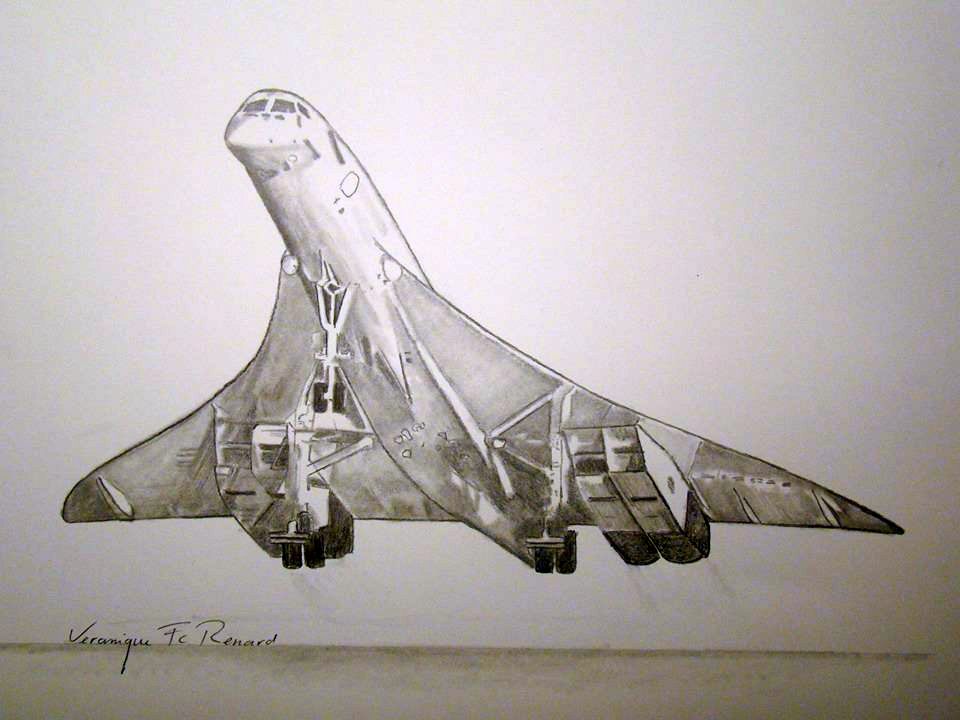 Veronique Renard visual artist December 2013