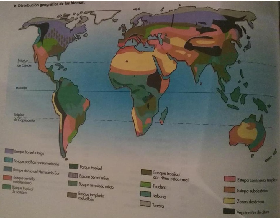 distribución geográfica de la diabetes en los bosques templados