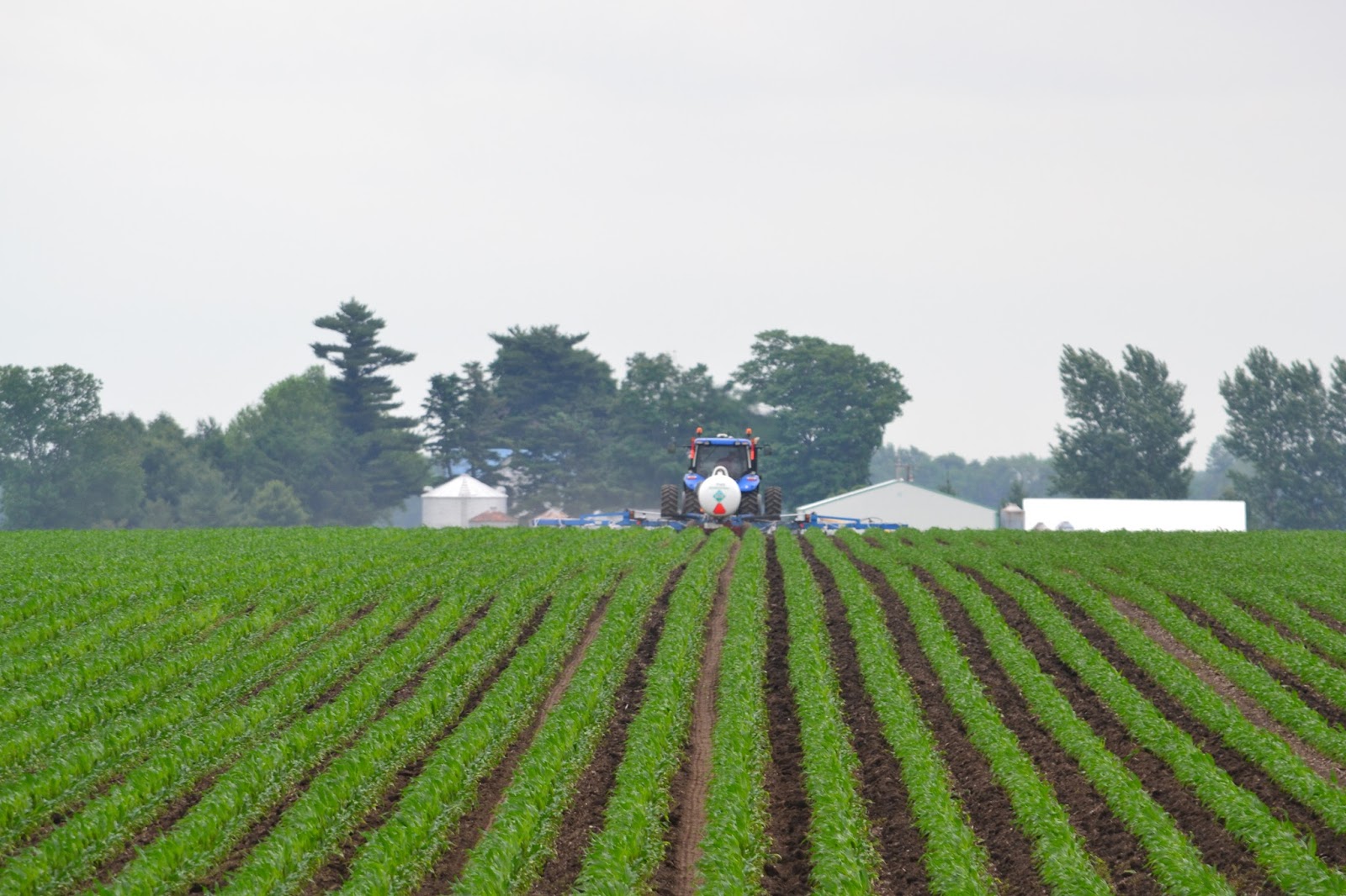 Johnson Family Farms Soybeans are in the ground...