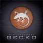 http://geckoproducciones.blogspot.com.es/2013/10/gecko-v-aniversario.html