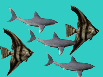 96 Koleksi Gambar Animasi Ikan Hiu Bergerak Terbaik
