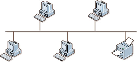 What is Network Topology in Hindi? Network Topology क्या है? computervidya