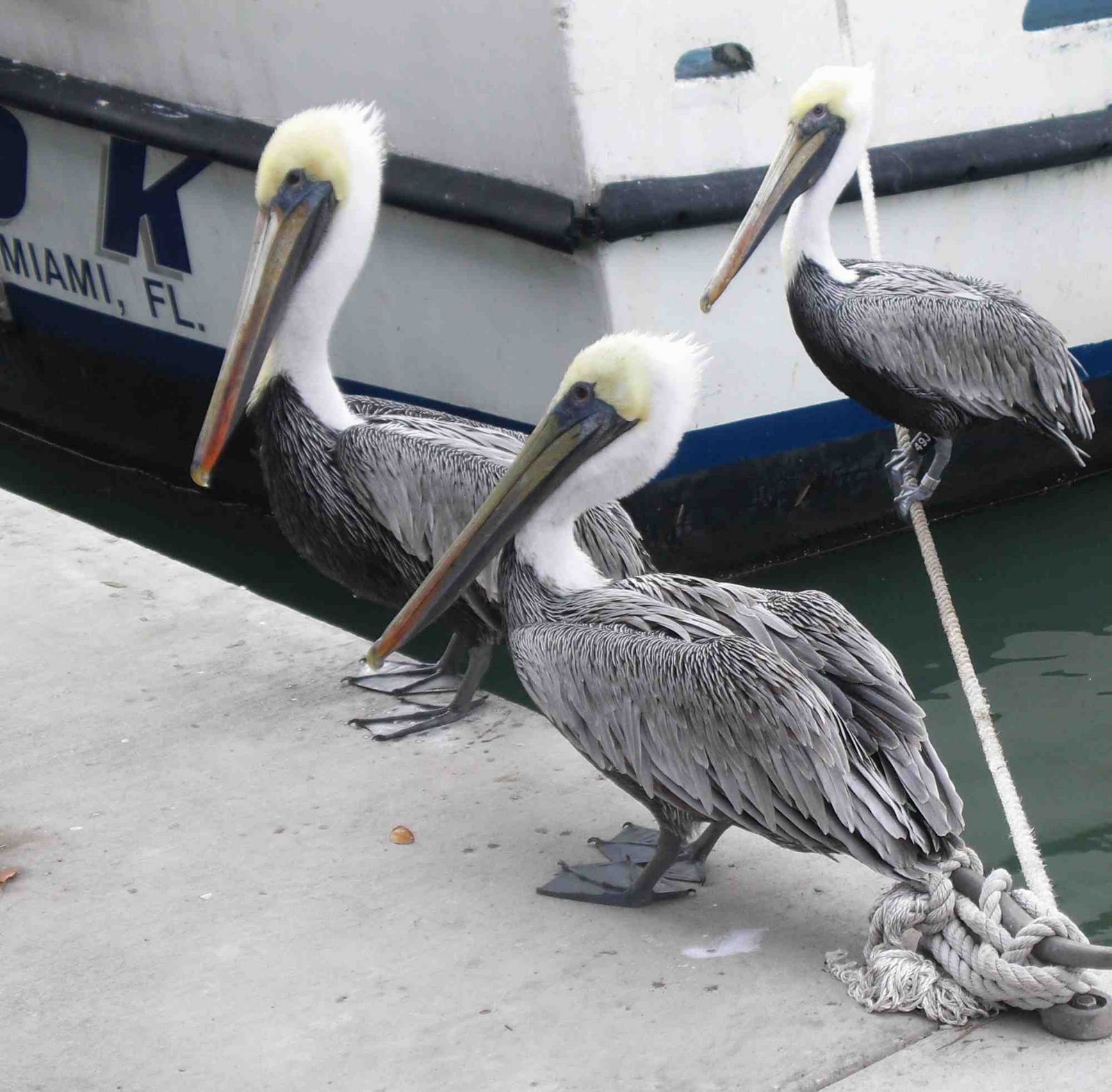 Miami, Florida