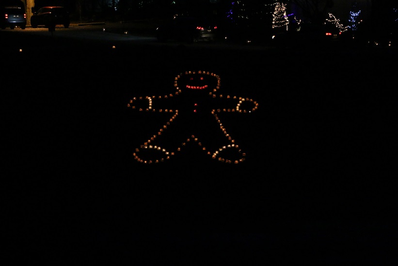 Michigan Exposures Hidden Lake Gardens Holiday Lights