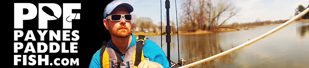 Payne's Paddle Fish