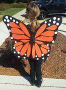 Butterfly costume for kids