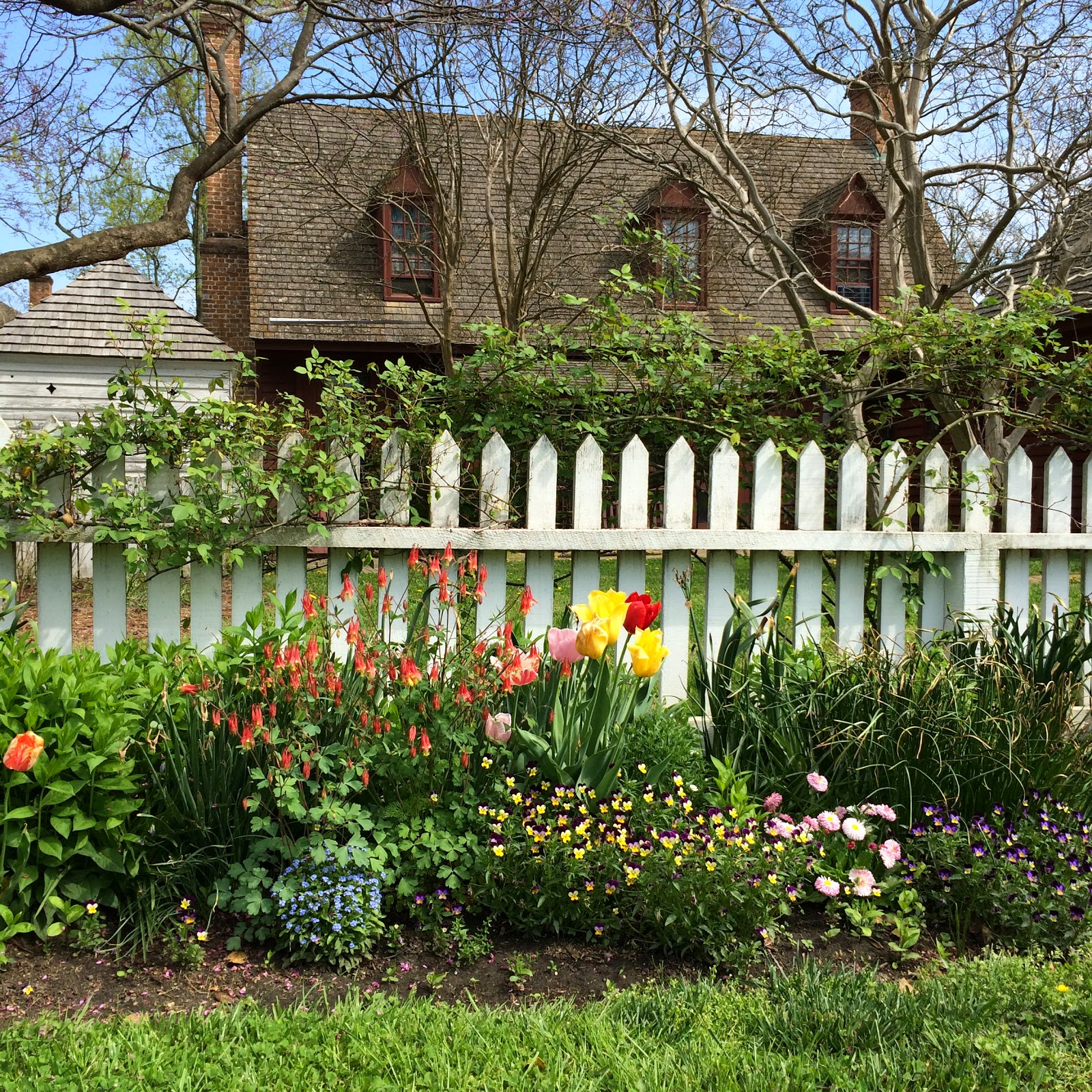 Colonial Williamsburg garden via foobella.blogspot.com