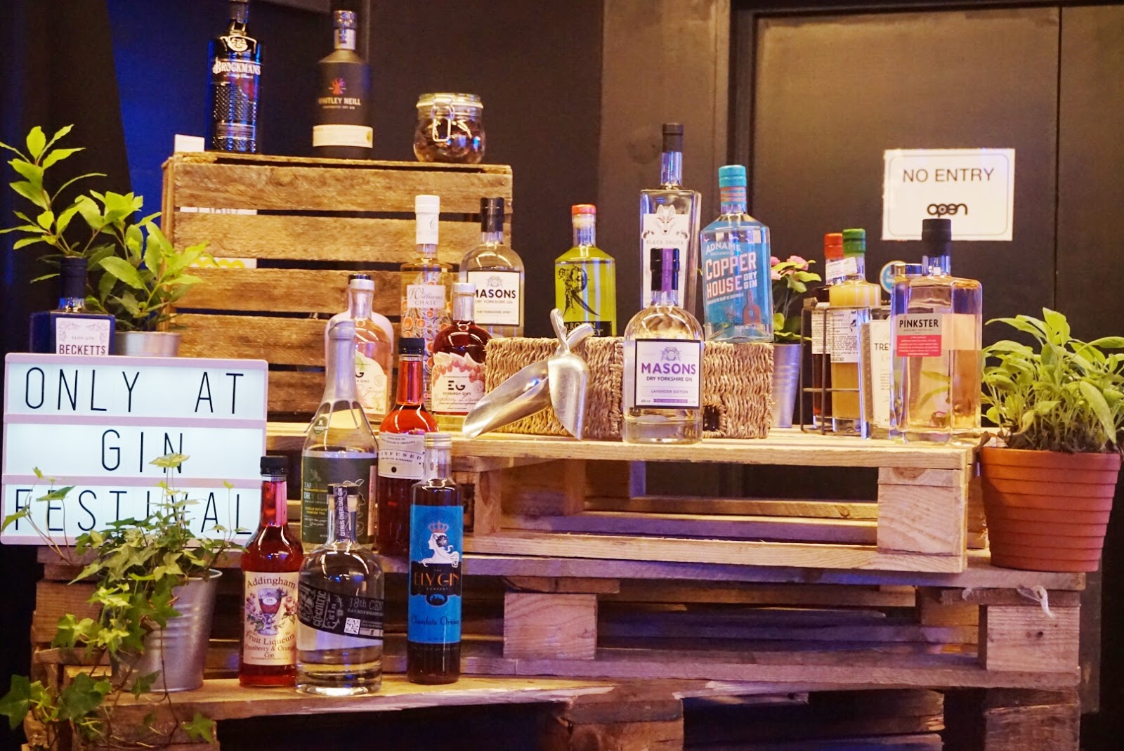 The Gin Festival Norwich The Life of Pye