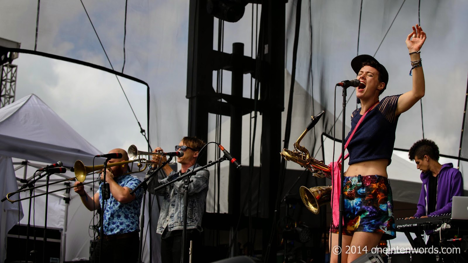 one in ten words Riot Fest 2014 Day 1 Band 2 Rubblebucket