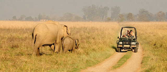 Jim Corbett National Park Jim Corbett National Park