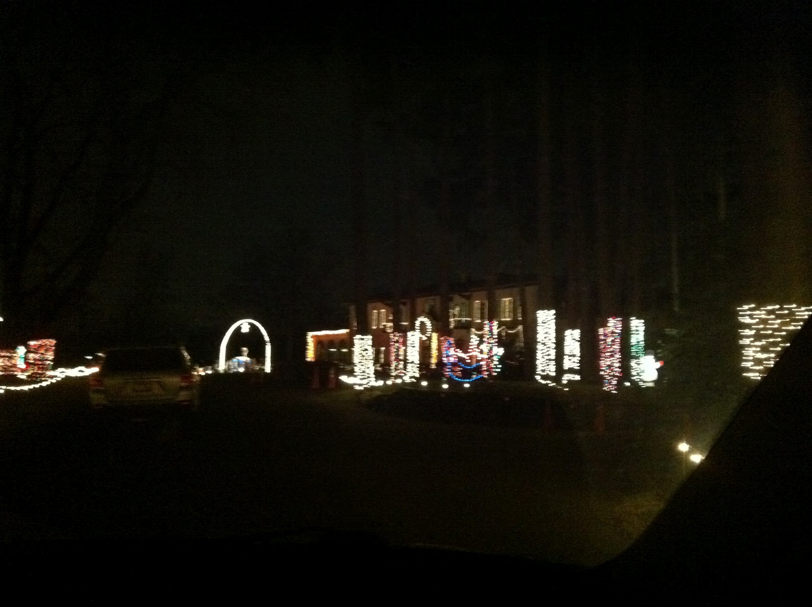 The Meidel Family Cuneo Museum Lights!