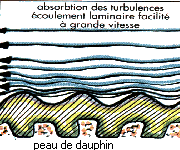 L Odyssee Terrestre Les Rois De La Mediterranee Mediterranee 2